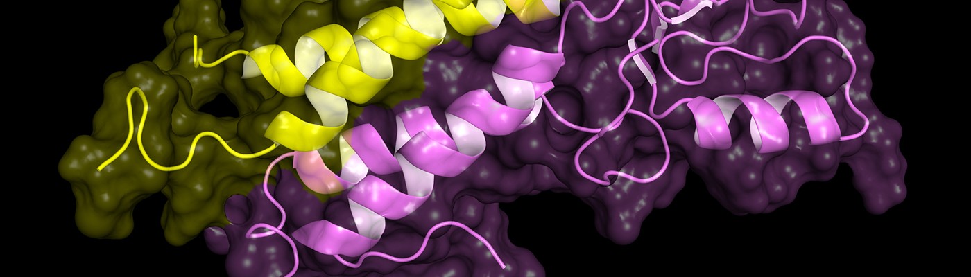 Course Image Pramoninė mikrobiologija