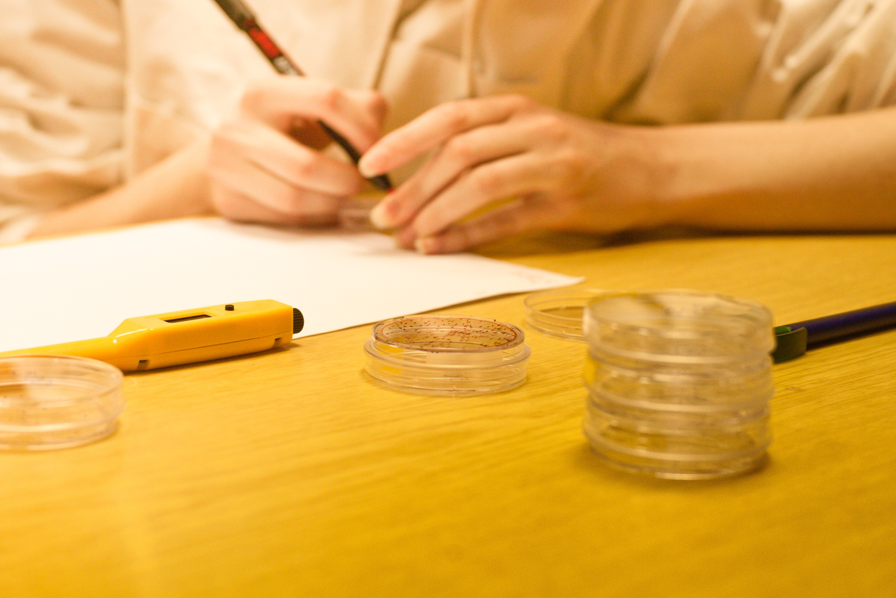 Course Image Profesinė praktika I