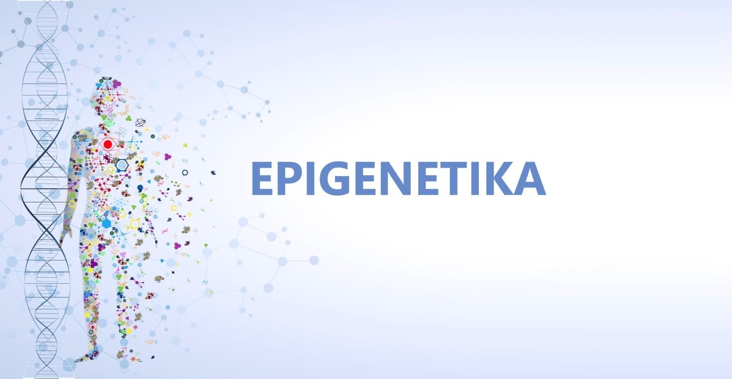 Course Image Epigenetika