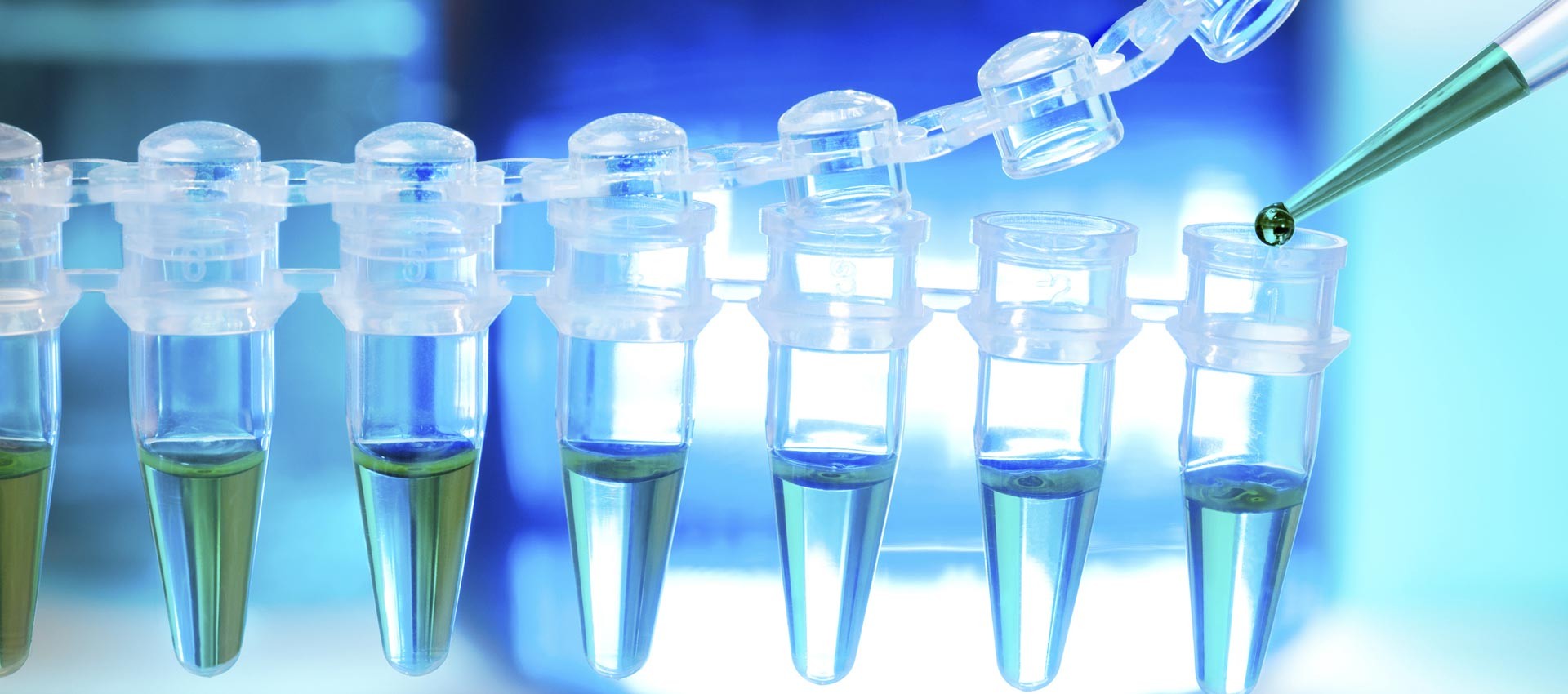 Course Image Mikrobiologija ir biotechnologija