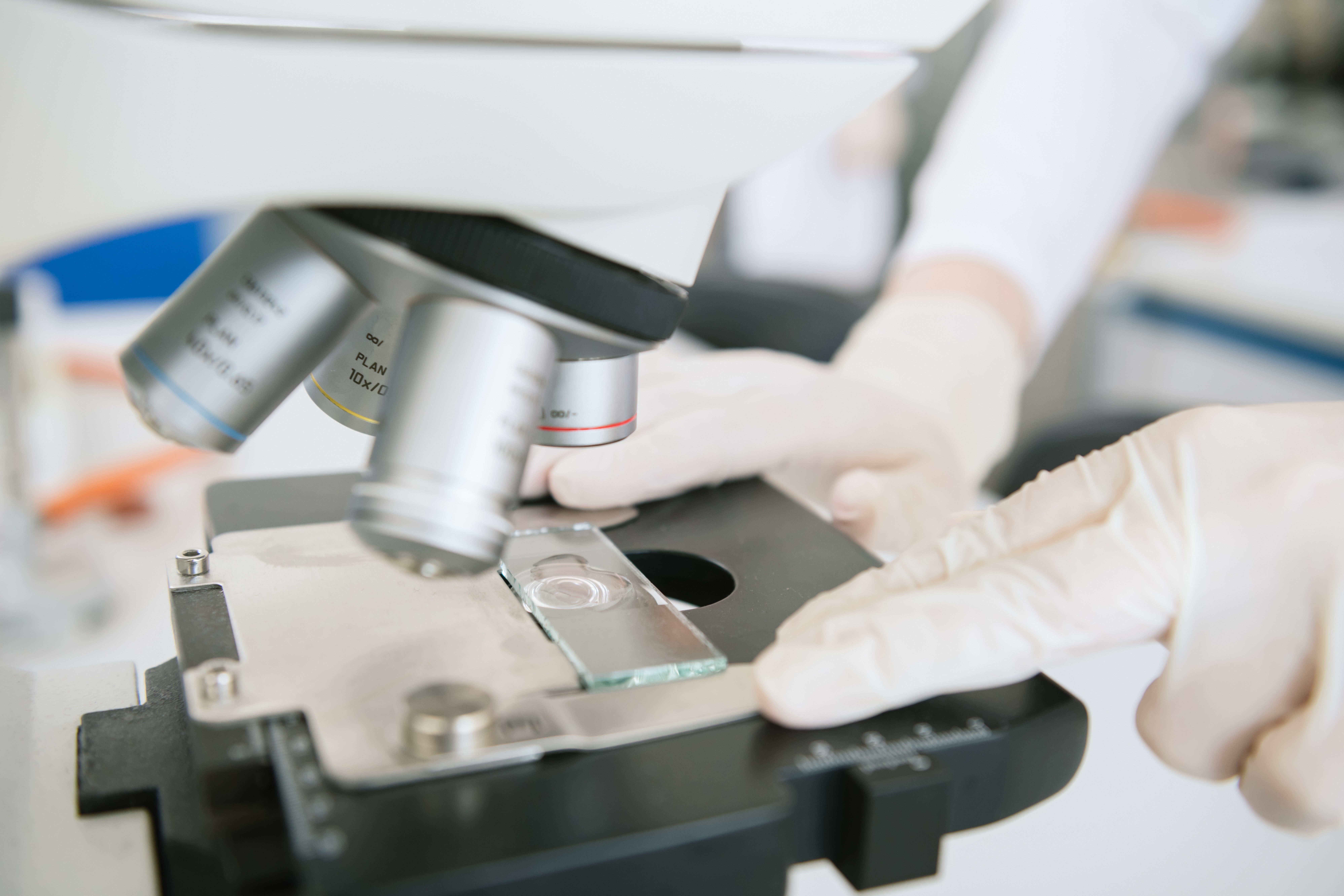 Course Image Human Physiology (Medicine 2025-2026)