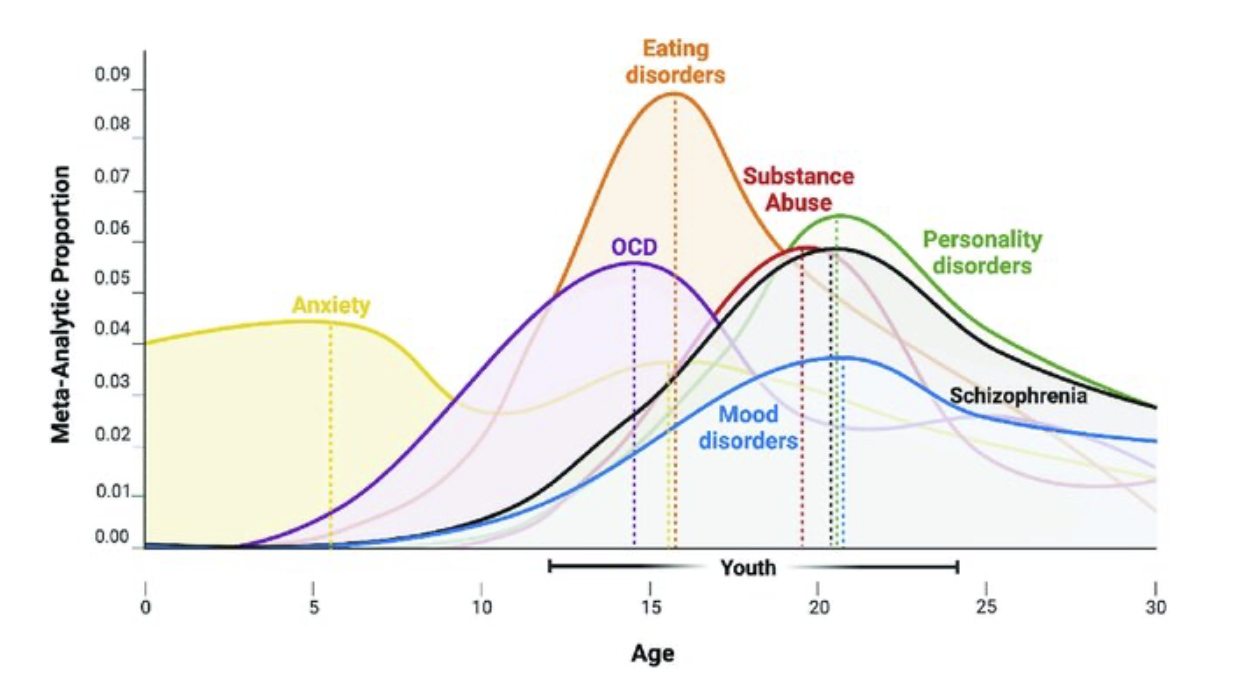 Course Image Raidos psichopatologija