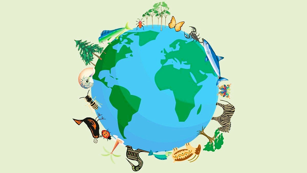 Course Image Biologinė įvairovė ir klimato kaita