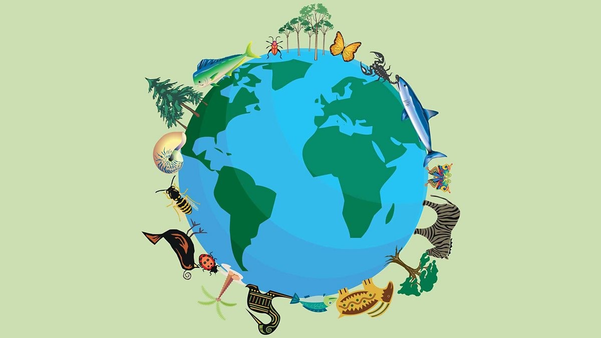 Course Image Biologinė įvairovė ir klimato kaita