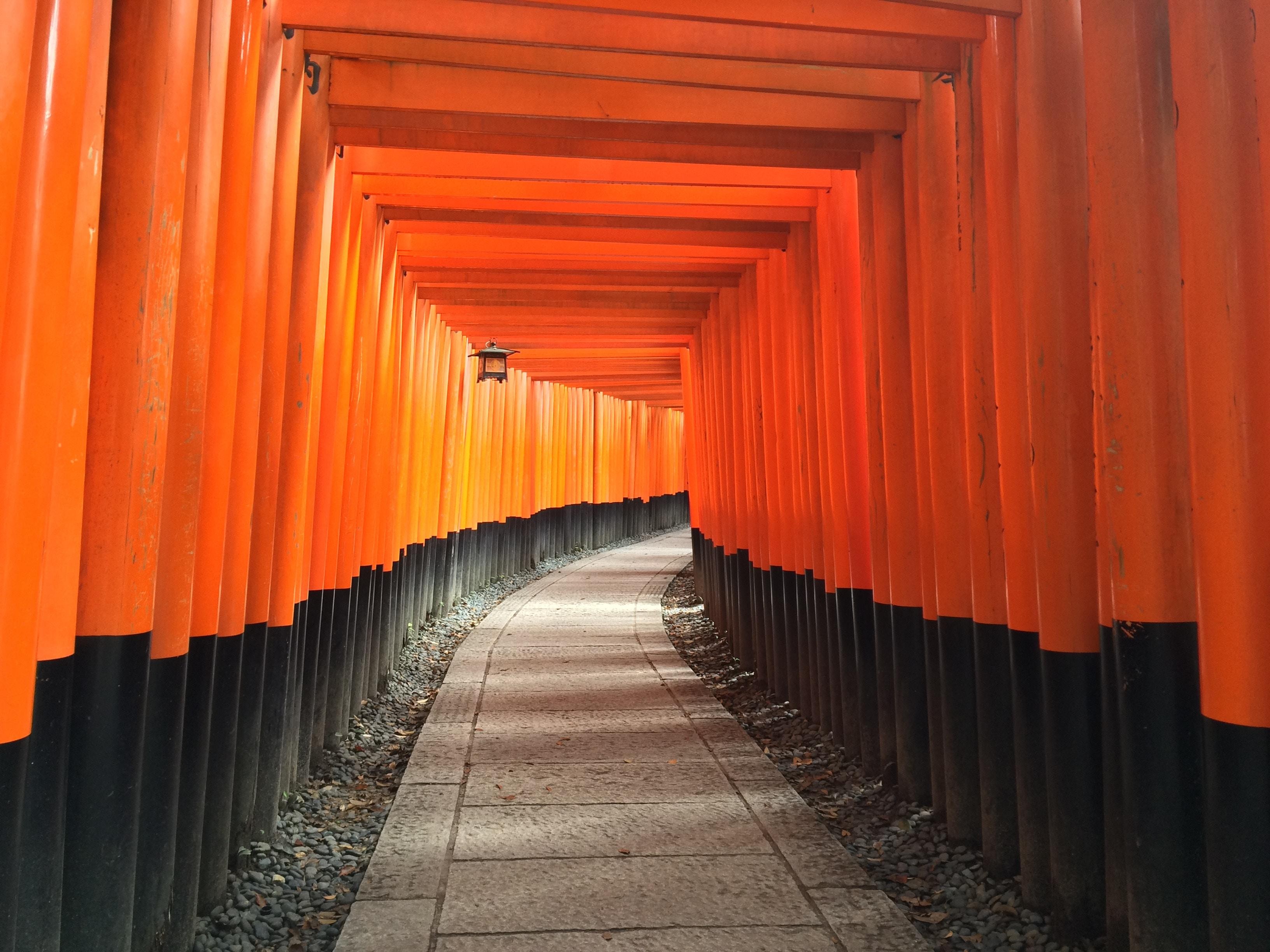 Course Image Japonų kalbos istorija (日本語史)