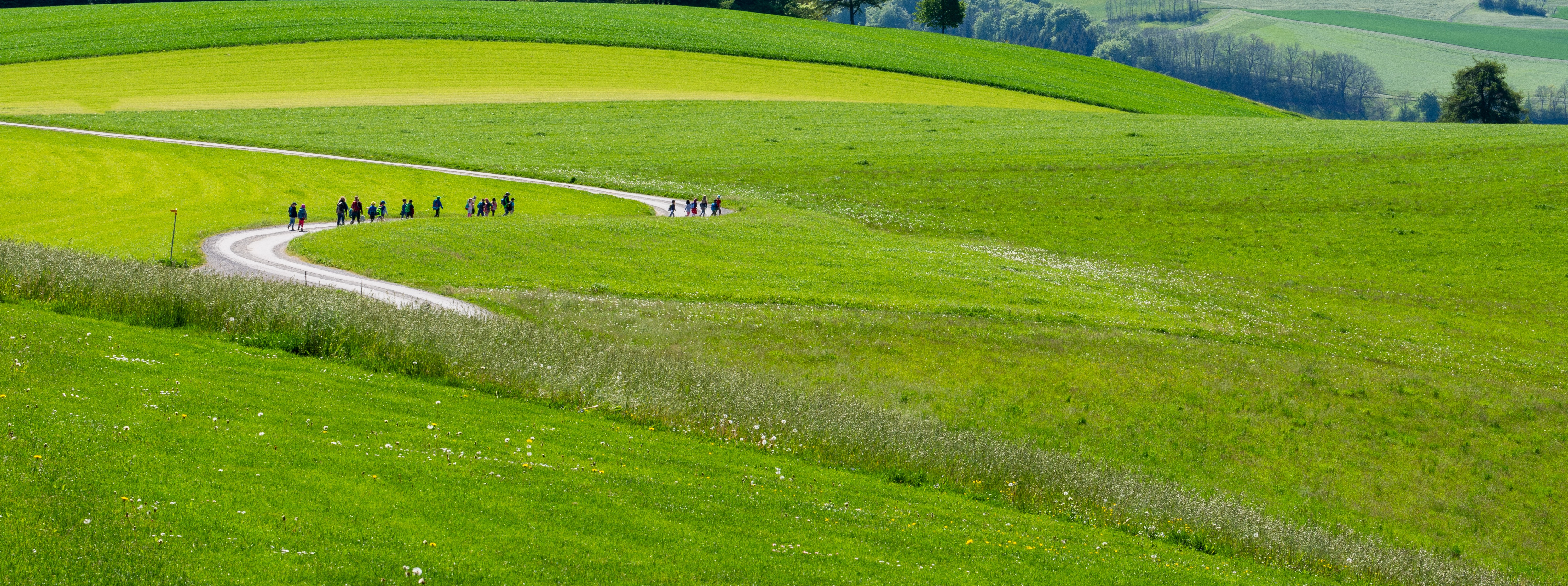 Course Image Lietuvių kalbos dialektologija