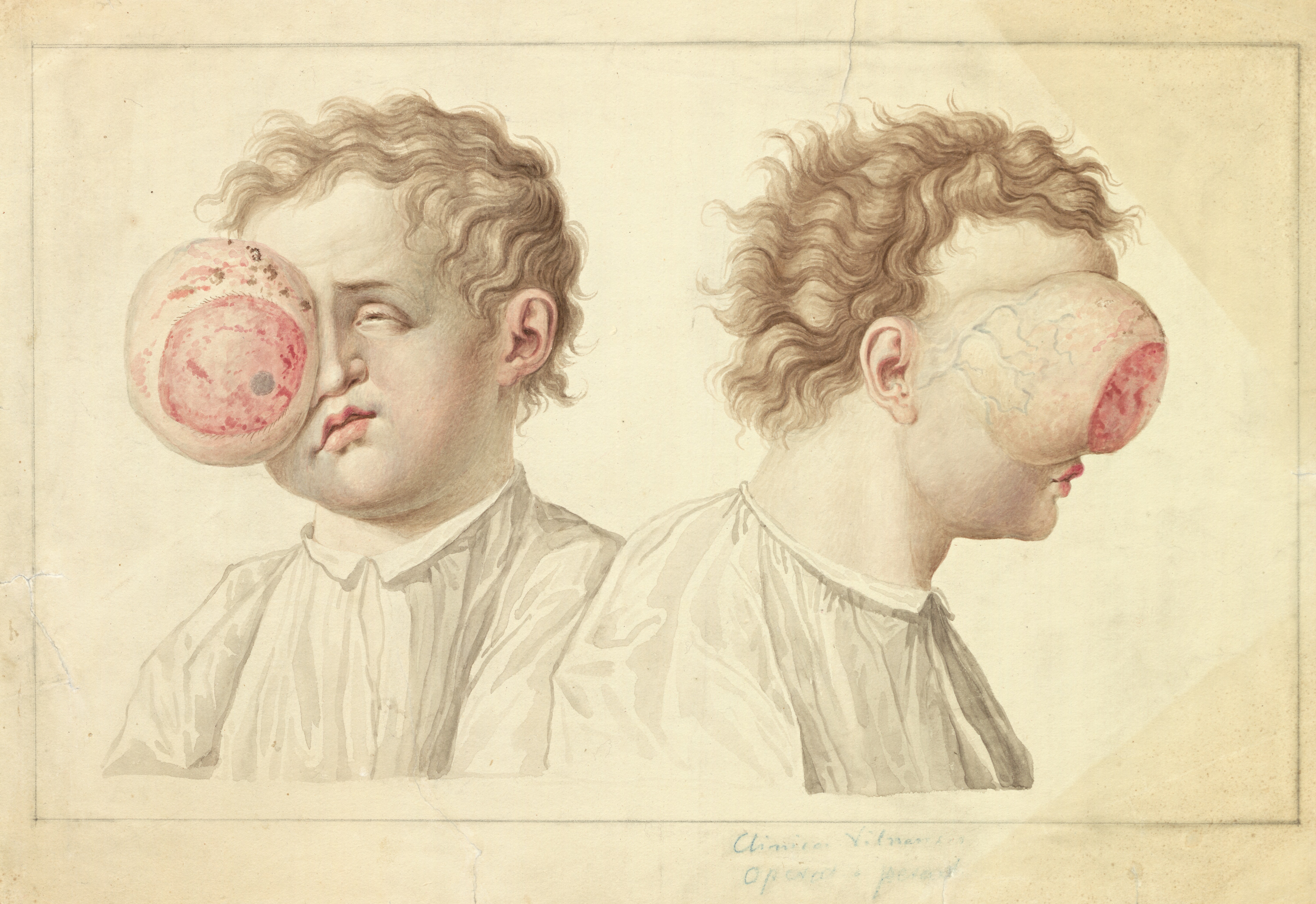 Course Image Įvadas į medicinos studijas
