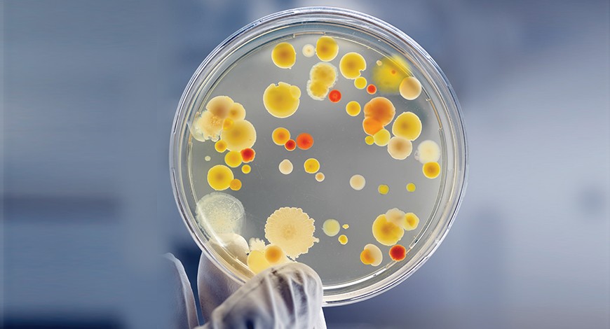 Course Image Organinė chemija (Mikrobiologijos specialybė)
