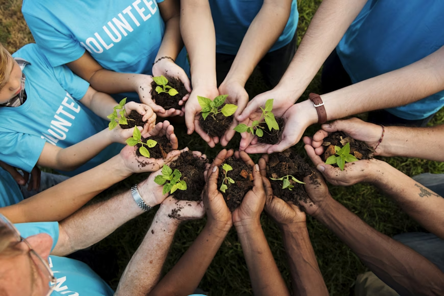 Course Image Sustainable Development and Responsible Business