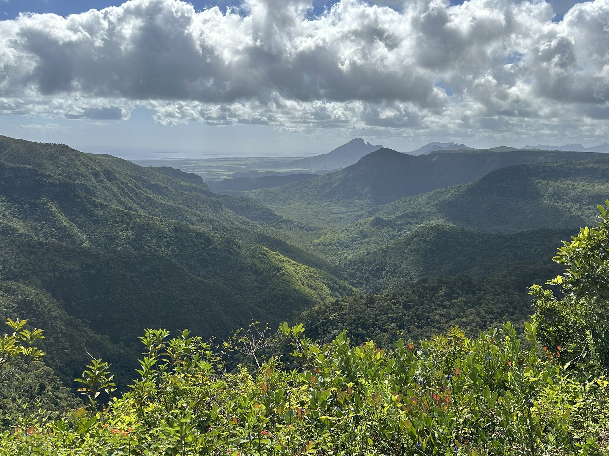 Course Image English for Academic Purposes and Research, Geography