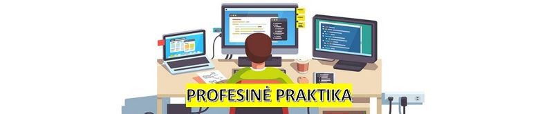 Course Image Profesinė praktika (Informacinių sistemų inžinerija)