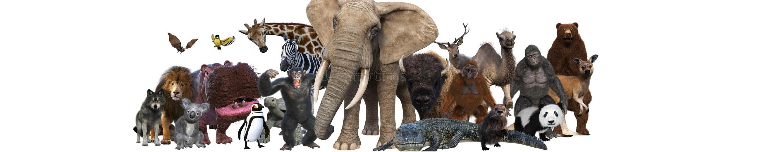 Course Image Neuroethology