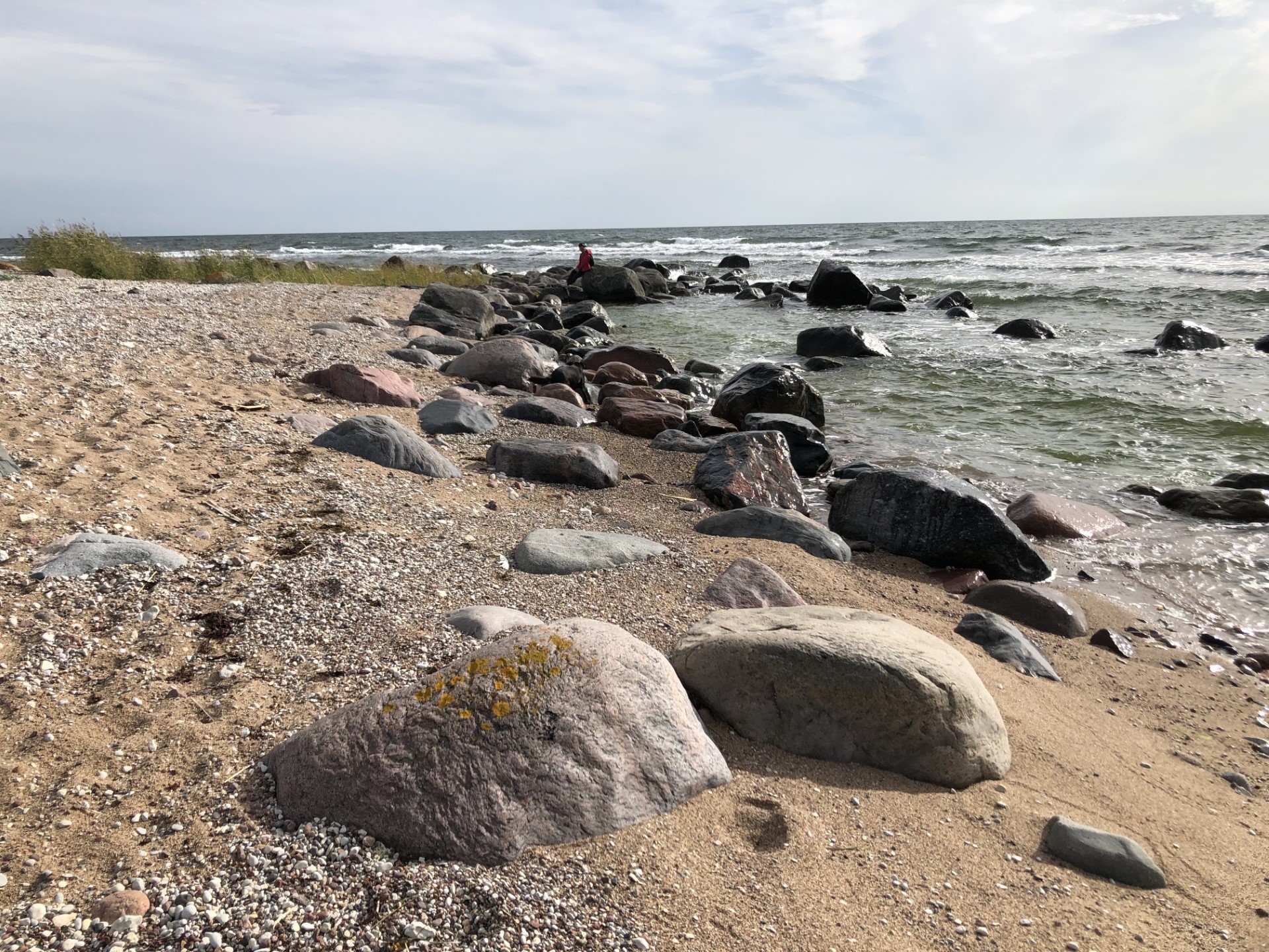 Course Image Bausmių vykdymo teisiniai ir kriminologiniai pagrindai