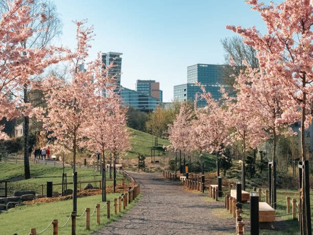 Course Image Magistrinis kolokviumas