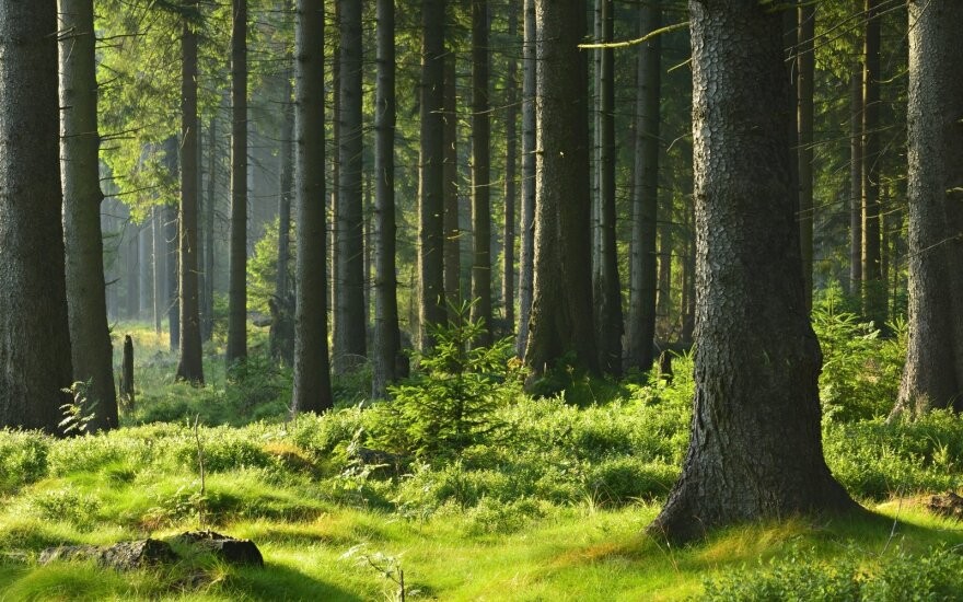 Course Image Vaiko psichologinis įvertinimas_II