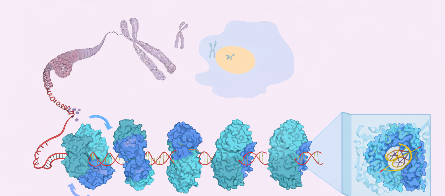 Course Image Molekulinė biologija ir genetika