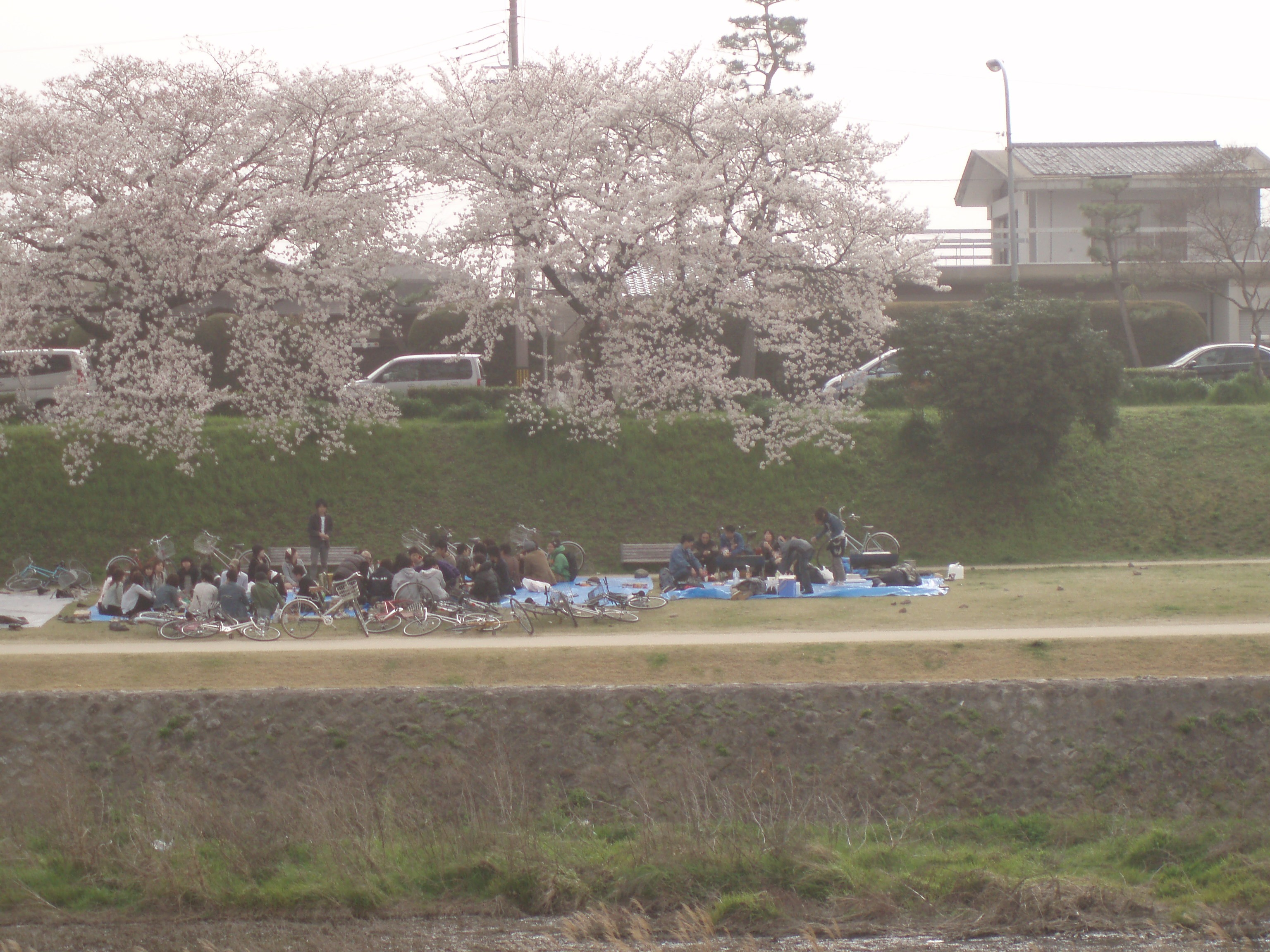 Course Image Japonijos kultūra ir jos tyrimai