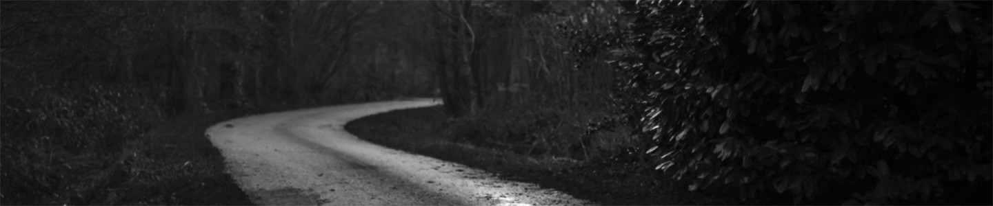 Course Image Žodžių darybos teorija