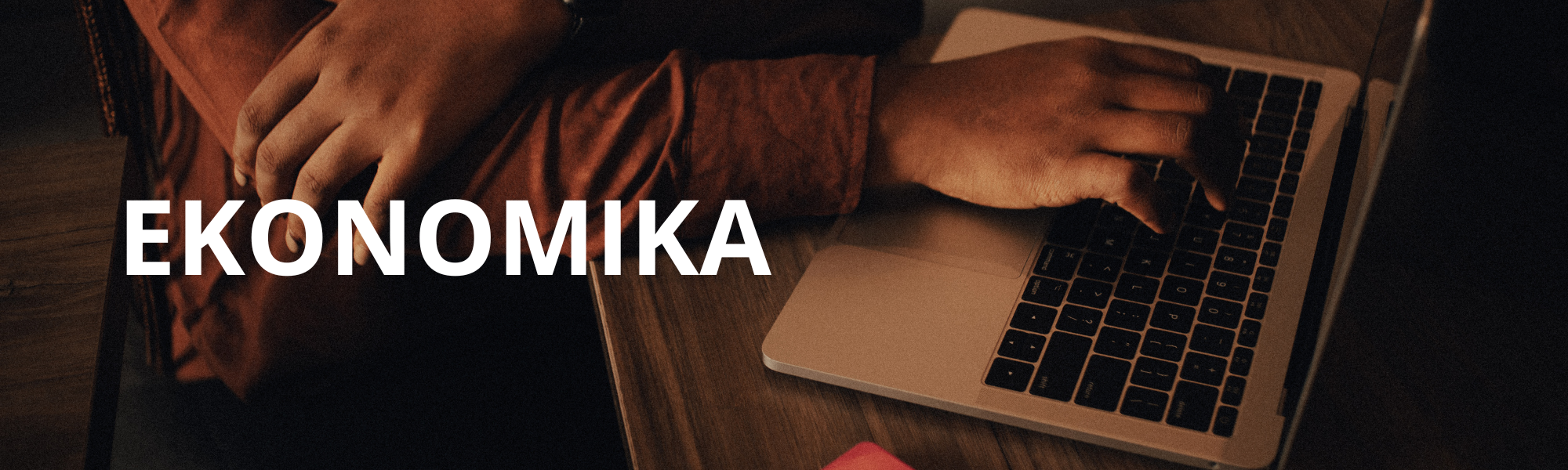 Course Image Ekonomika (Mikroekonomika - 5 kr., Makroekonomika - 5 kr.)