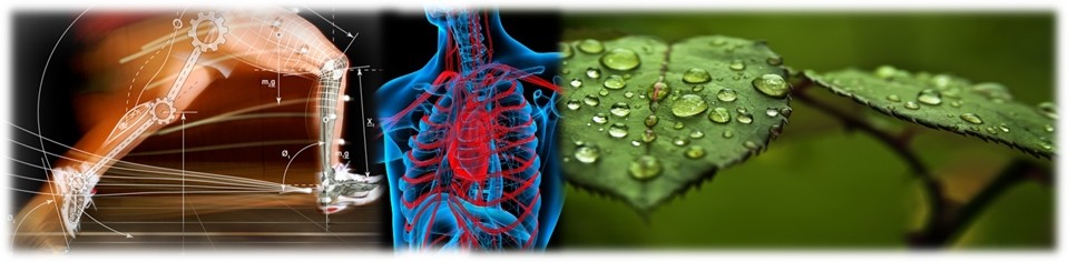 Course Image Biologinė fizika (2026)