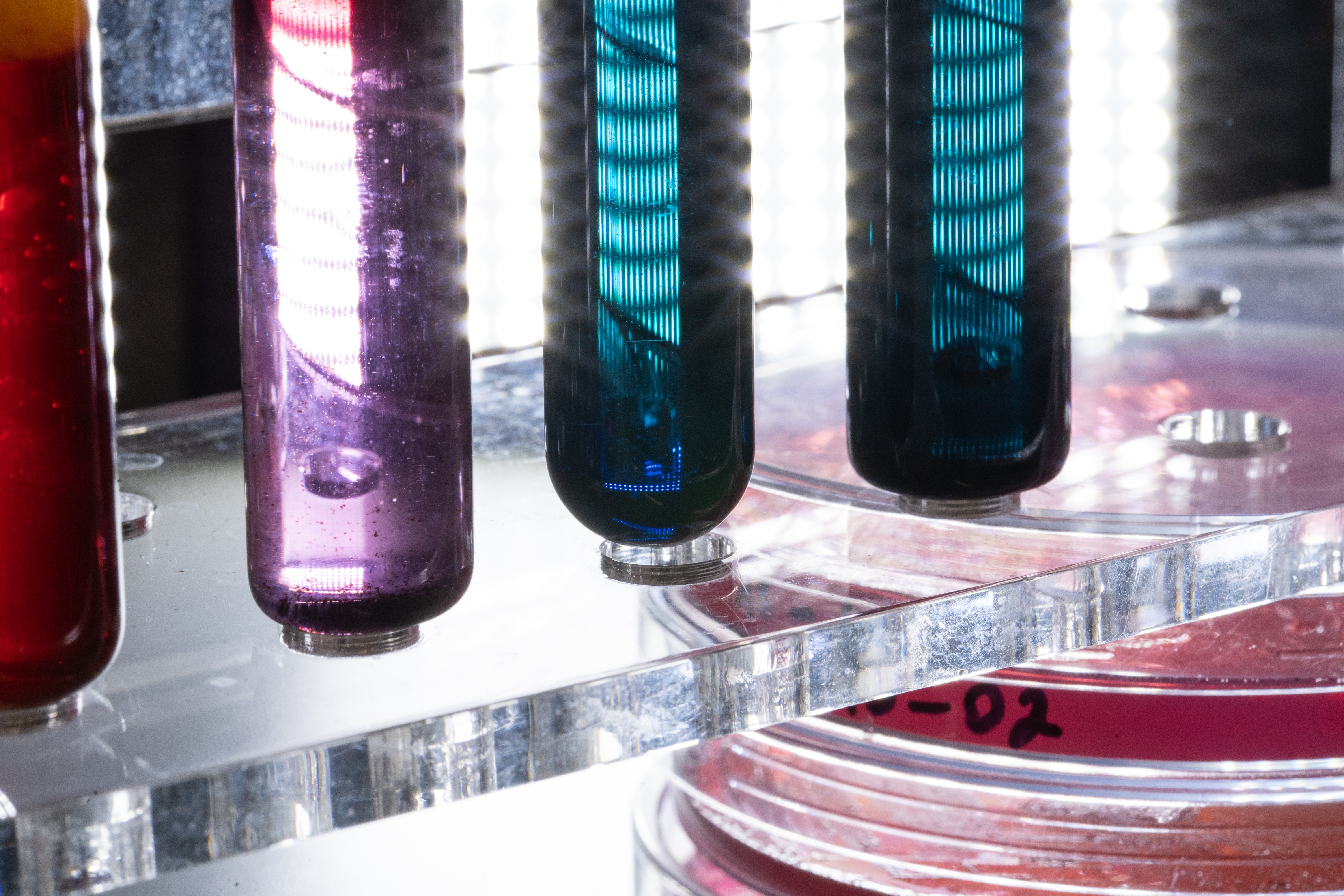 Course Image Microbial Bioactive Compounds