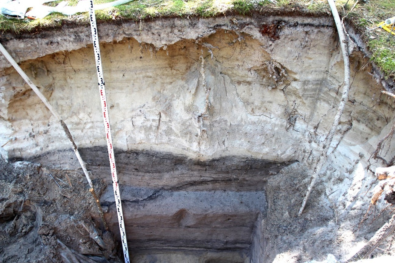 Course Image Aplinkos archeologija: dirvožemiai, klimato kaita ir žmogaus adaptacijos (Dirvodara ir dirvožemių diagnostika - 5 kr.; Klimato ir aplinkos pokyčiai bei žmogaus adaptacijos holocene – 6 kr.; Antropocenas, jo poveikis Arktikos medžiotojų-rankioto