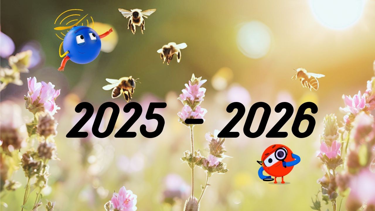 Course Image Verslo procesų robotizavimas