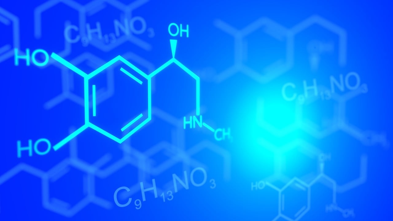 Course Image Bioorganinė chemija