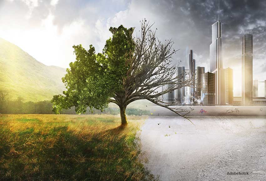 Course Image Environmental Health