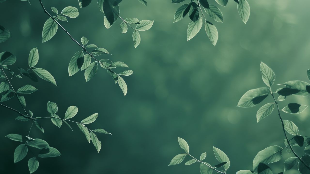 Course Image Stresas ir jo valdymo būdai