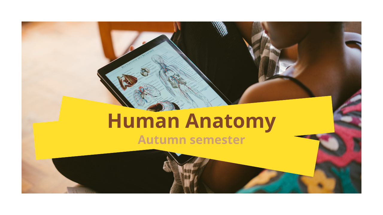 Course Image Human Anatomy_EdTech