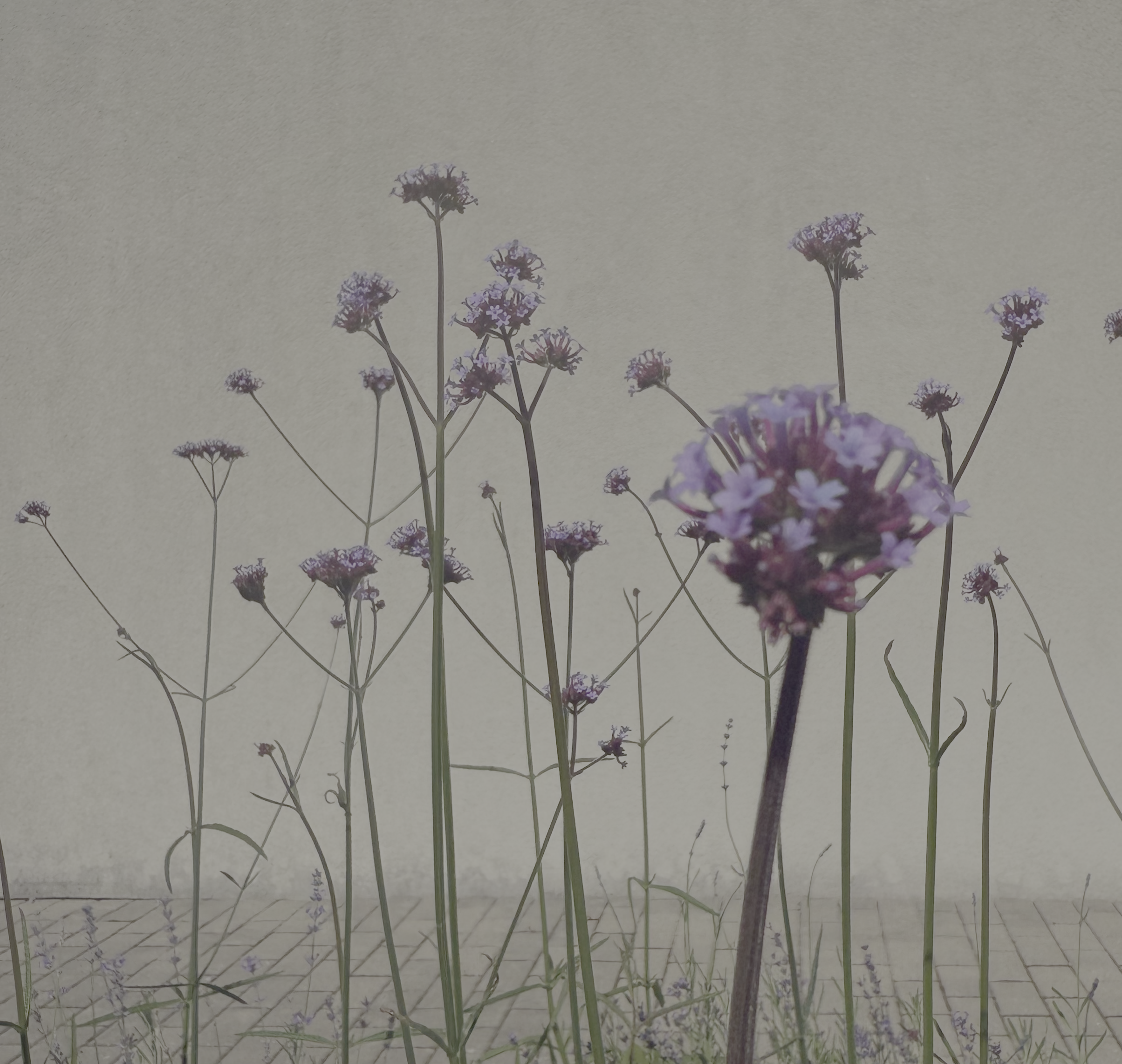 Course Image Biomedicininė statistika