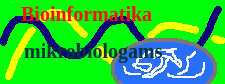 Course Image Bioinformatika (mikrobiologijos studentams)