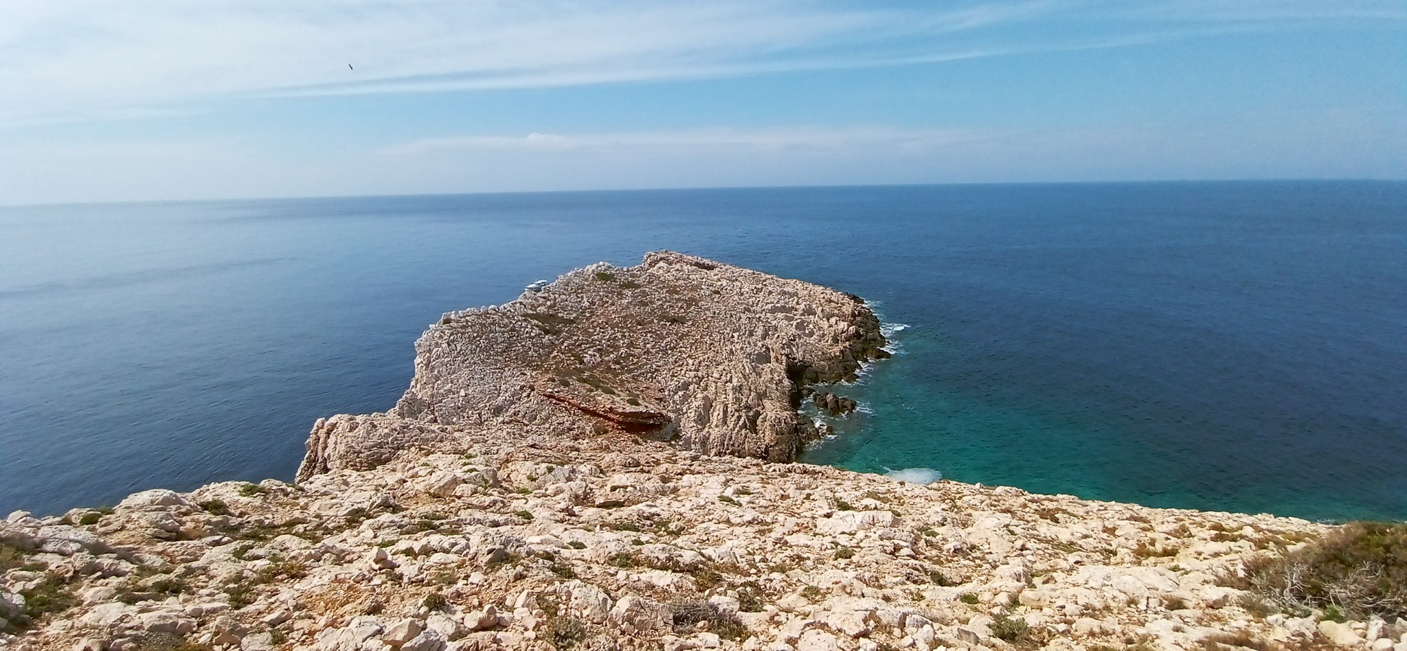 Course Image Baigiamasis egzaminas (Farmacija)