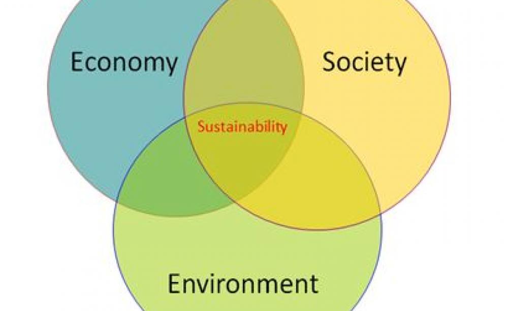Course Image Sustainable Economy