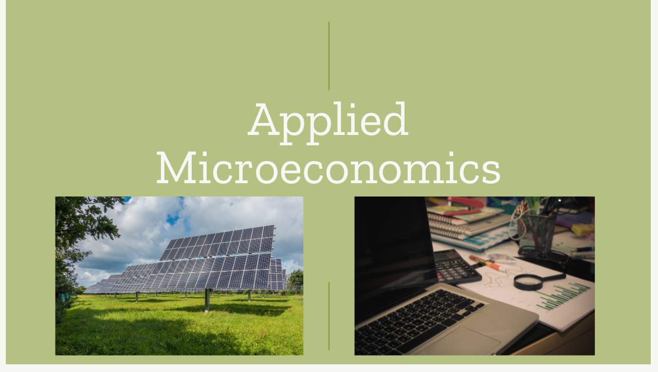 Course Image Applied Microeconomics