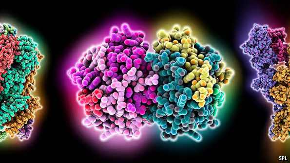 Course Image Biochemija (papildomos studijos)