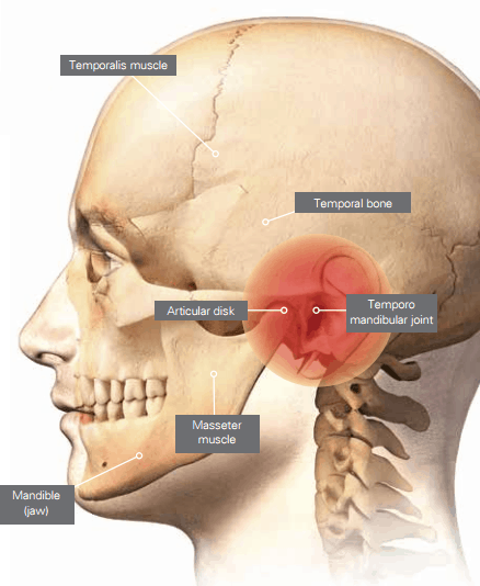 Course Image 2024-25(2) 4y. EN PerioProstho. TMD. PTW