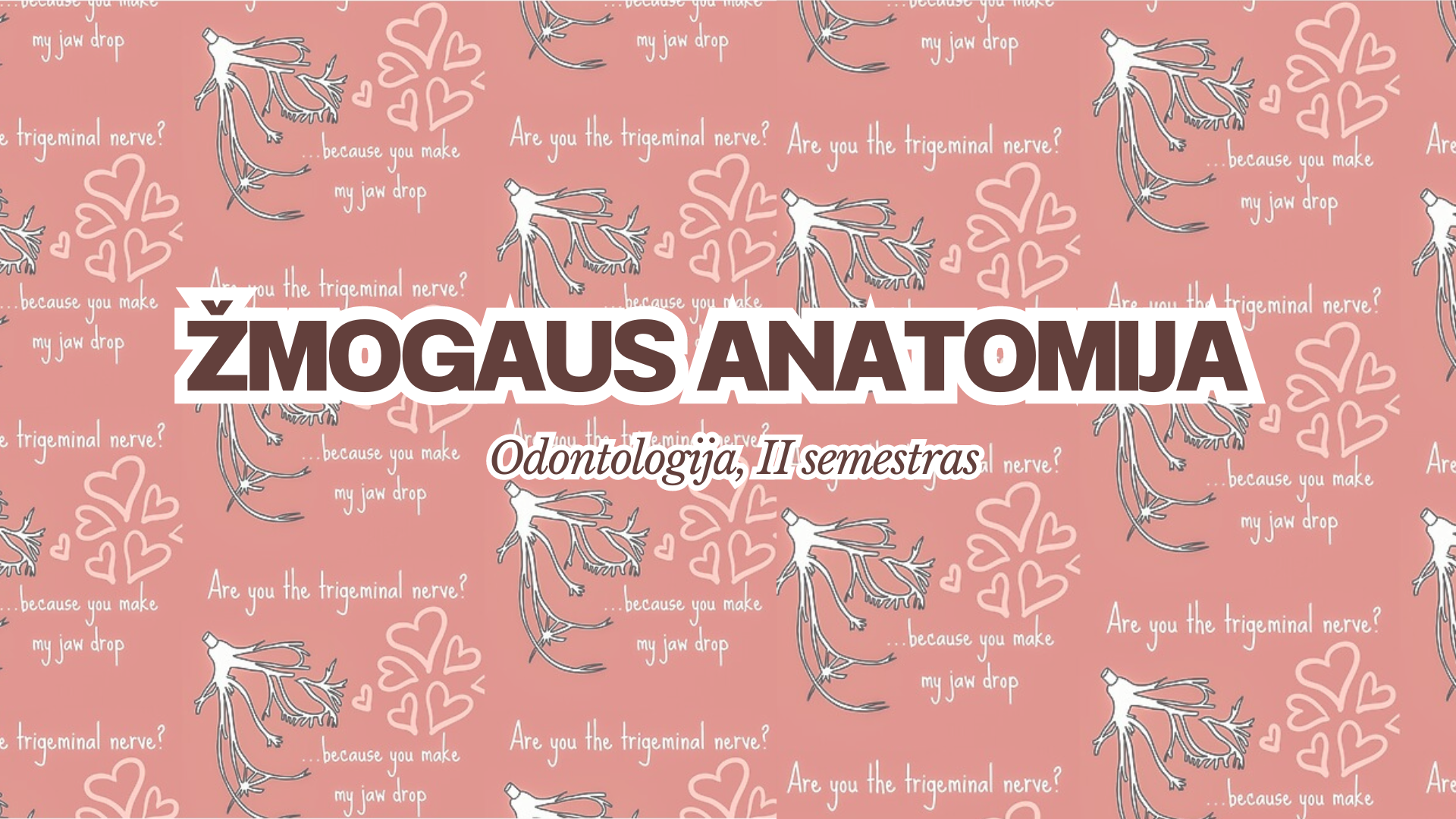 Course Image Žmogaus anatomija Odontologija II semestras