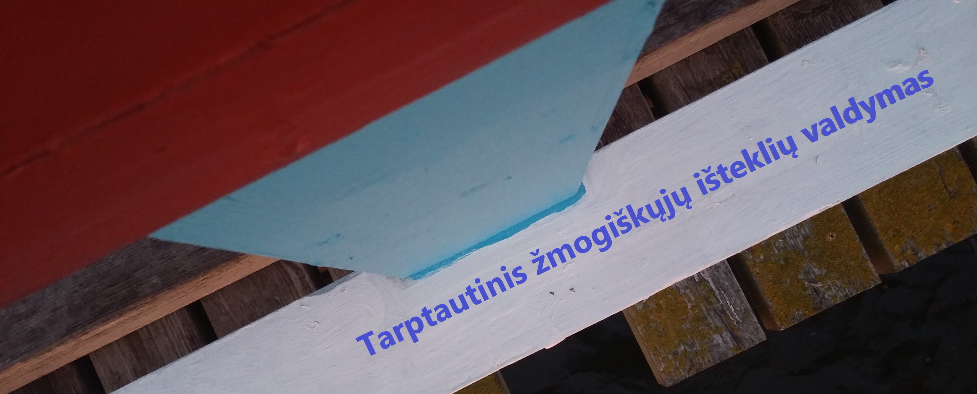Course Image Tarptautinis žmogiškųjų išteklių valdymas