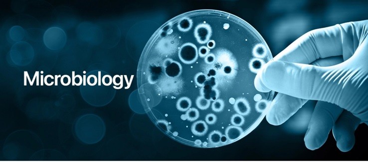 Course Image Basics of Microbiology and Biochemistry (Microbiology)