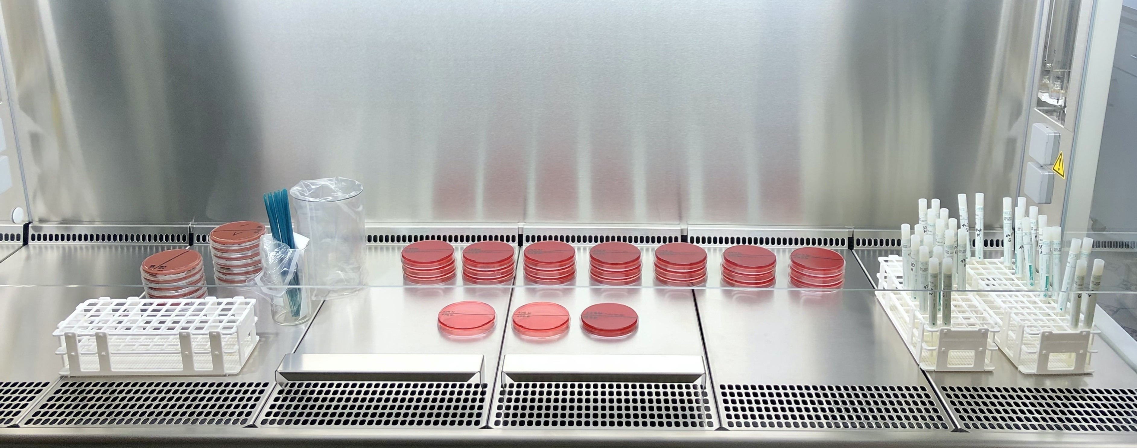 Course Image Mikrobiologijos ir biochemijos pagrindai (Mikrobiologija)